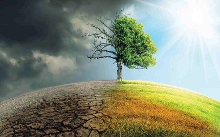 The Silent Emergency: Climate Change as a Crisis of Public Health