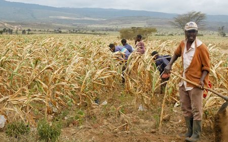 Legislative Landmark: The Climate Management Bill and the Quest for Accountability