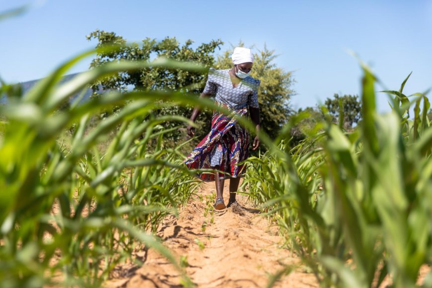 Legislative Landmark: The Climate Management Bill and the Quest for Accountability