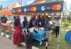 Beyond Remittances: Government Urges Diaspora to Lead Mineral Beneficiation Drive