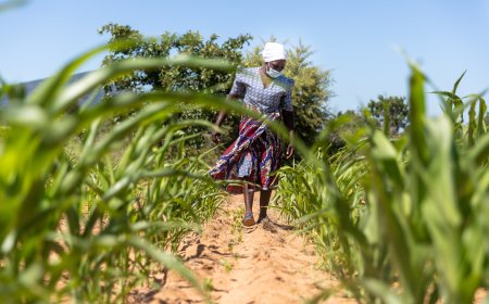 The Climate Resilient Livelihoods Project helping fostering safe communities for women and children