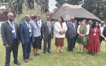 Headline: Global Networks, Local Growth: Zimbabwe Taps Diaspora Skills to Power Export-Led Industrialization