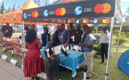 Beyond Remittances: Government Urges Diaspora to Lead Mineral Beneficiation Drive