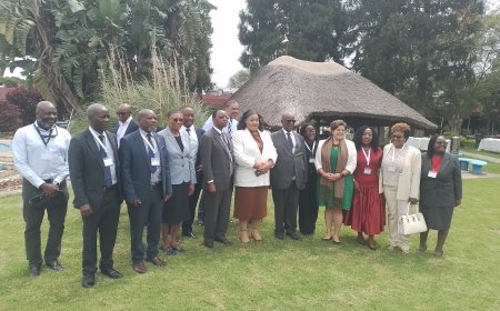 Diaspora Remittances Hit US$2.45 Billion as Government Mobilises “11th Province” for NDS2 Growth