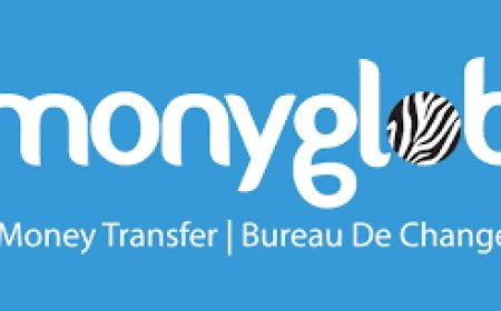 Monyglob Faces Margin Squeeze as 5% SADC Fintech Model Gains Regulatory Favor in Botswana