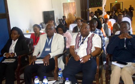 From Platinum to Fintech: Government Courts Diaspora Capital to Unlock Zimbabwe’s Industrial Value Chains