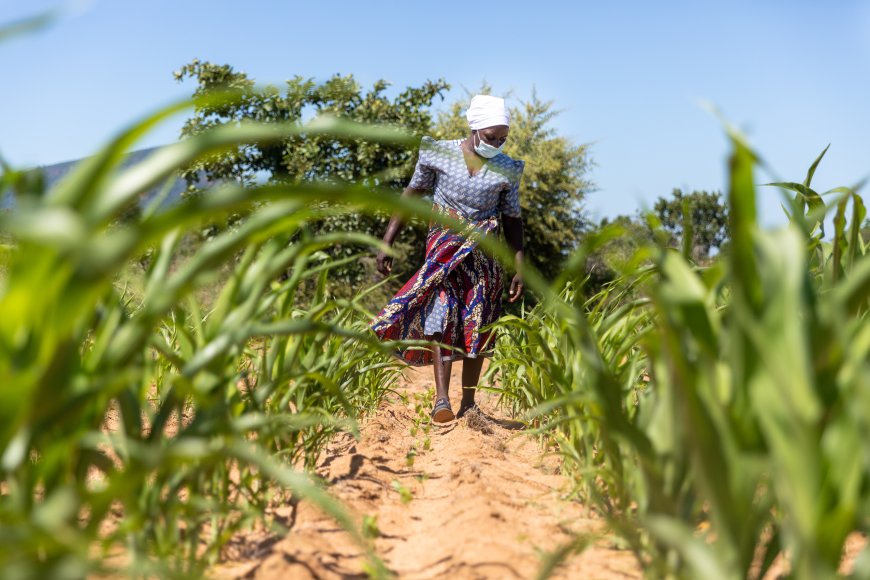 The Climate Resilient Livelihoods Project helping fostering safe communities for women and children