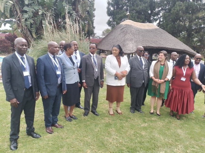 Headline: Global Networks, Local Growth: Zimbabwe Taps Diaspora Skills to Power Export-Led Industrialization