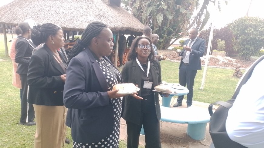 Headline: Beyond the Surface: Zimbabwe Unveils High-Tech Investment Frontier for Diaspora in Mining, Finance, and Telecoms