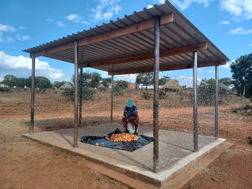 Steps Towards Sustainability – Hakwata Drip Irrigation Garden, Navigating Climatic Shocks and Stresses