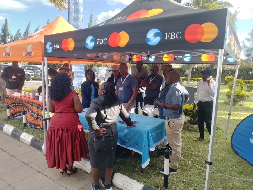 Beyond Remittances: Government Urges Diaspora to Lead Mineral Beneficiation Drive