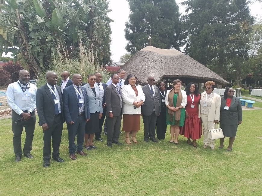 Diaspora Remittances Hit US$2.45 Billion as Government Mobilises “11th Province” for NDS2 Growth