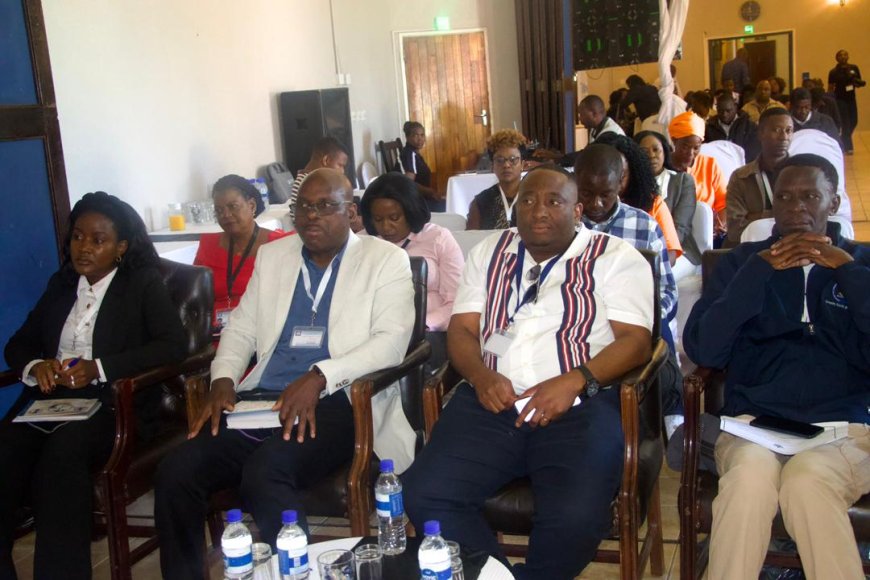 From Platinum to Fintech: Government Courts Diaspora Capital to Unlock Zimbabwe’s Industrial Value Chains