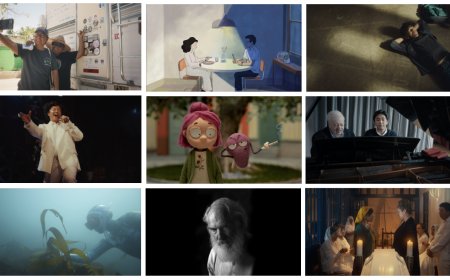 The Sony Future Filmmaker Awards have today revealed