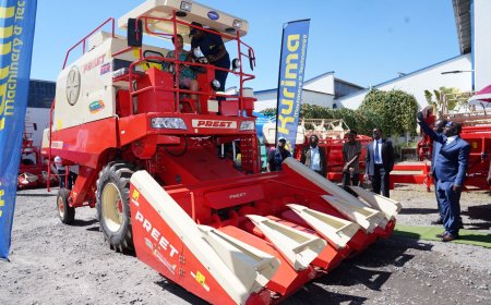 US$2.1 Million Post-Harvest Equipment Handed Over to Zimbabwean Farmers to Combat 28% Grain Losses
