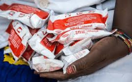 UNICEF marks three decades of RUTF, calls for national funding to secure supply chain in Zimbabwe