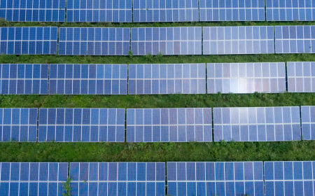 Sungrow Powers up Zambia’s Largest Single Solar PV Project