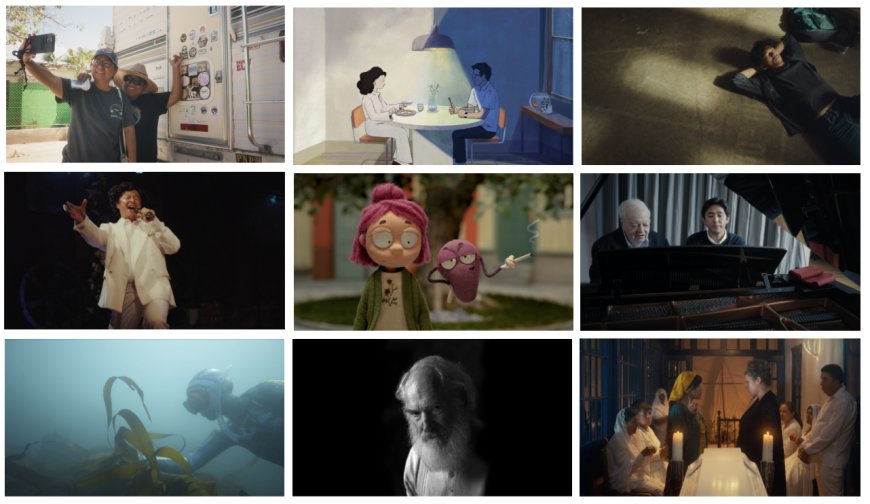 The Sony Future Filmmaker Awards have today revealed