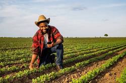 Micro-Lending Without Borders: How Smart Contracts Are Transforming Agrarian Credit in Rural Zimbabwe