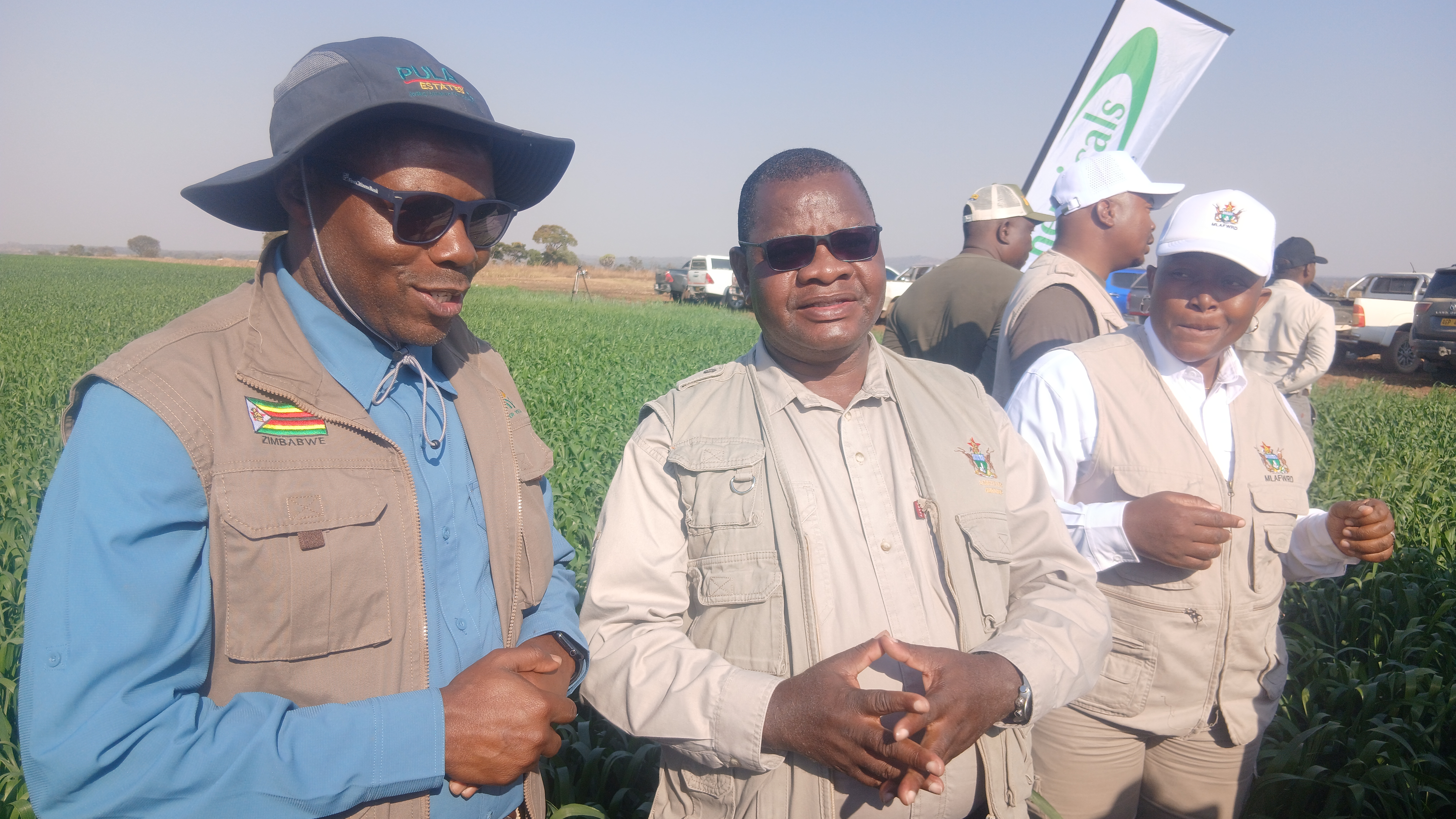 Zimbabwe Small Grain Farmers Hail GMB Early Payment