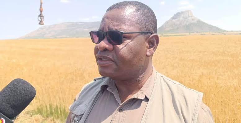 GOVERNMENT TARGETS 1 MILLION HECTARES UNDER PUMHUTSA TO CLIMATE-PROOF DRY SEASON