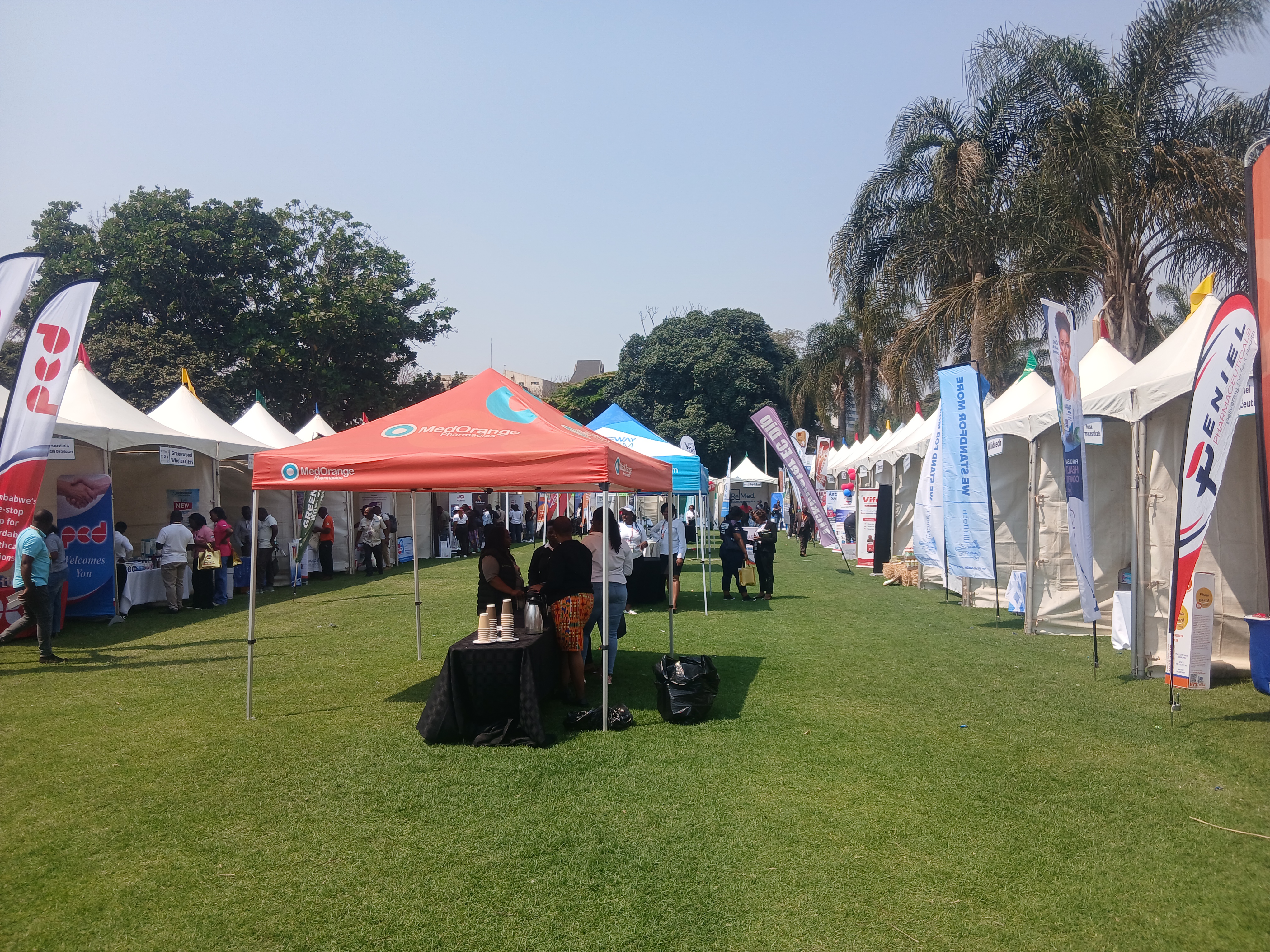 Growing disease burden opens wider market for Zimbabwe health products